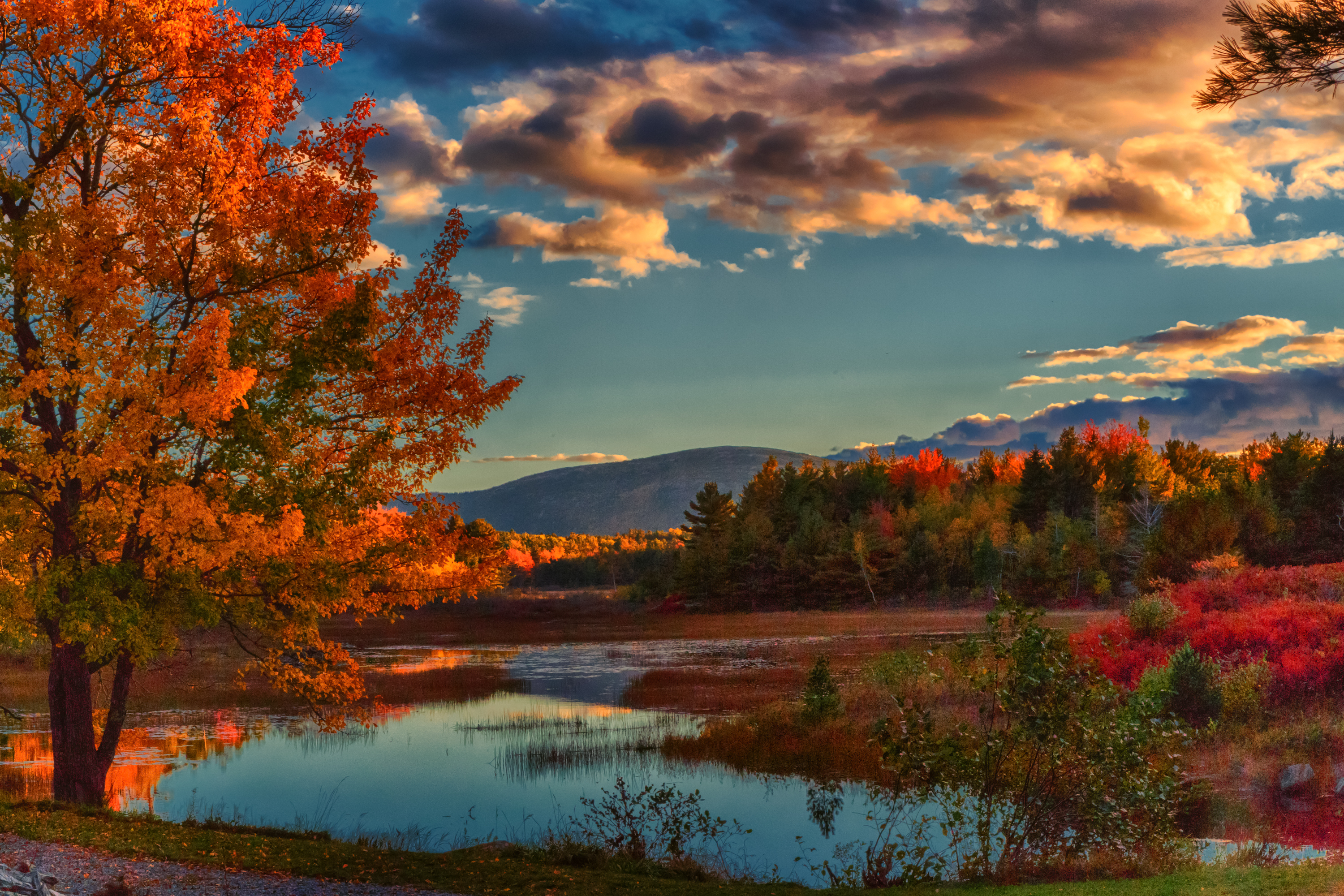 Autumnal Lake Scene