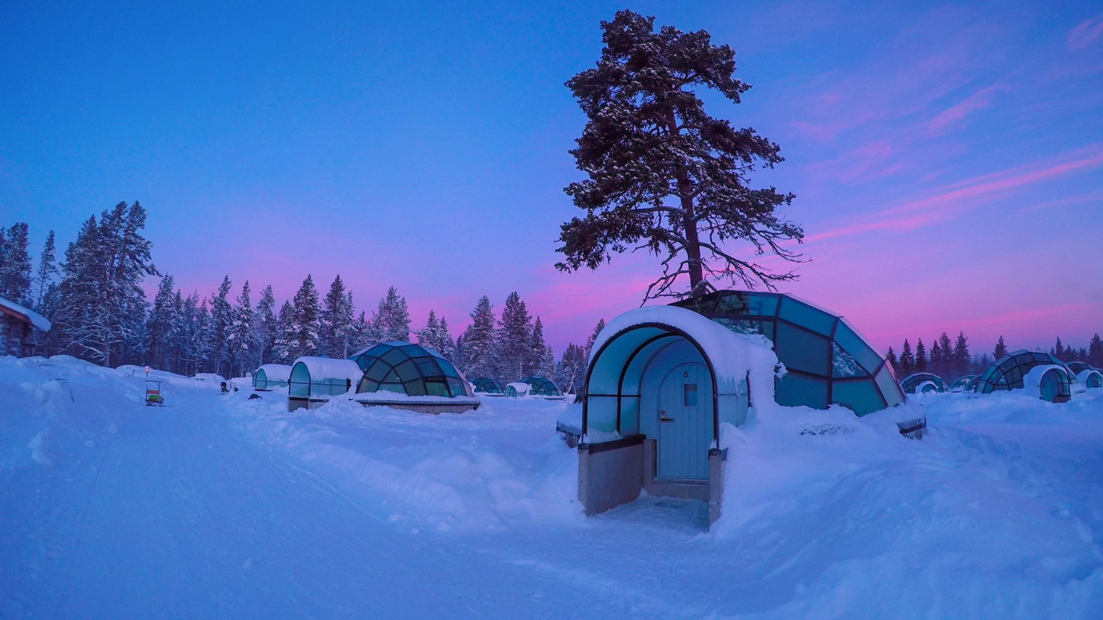 Glass Igloo