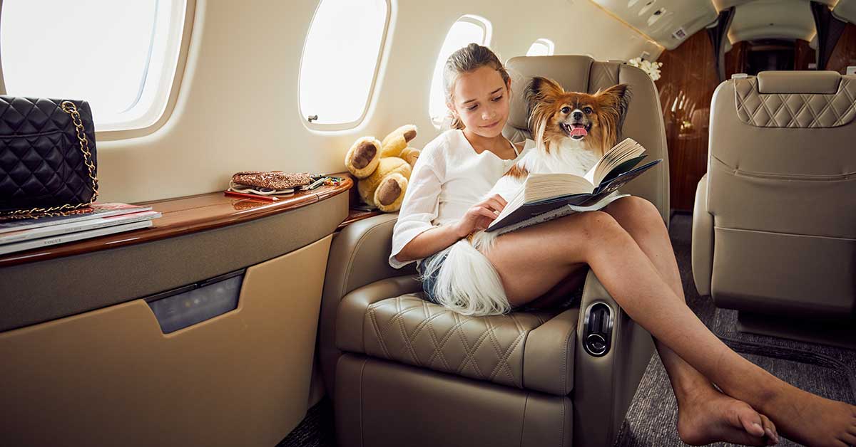 Flying Pets by Private Jet | Blog