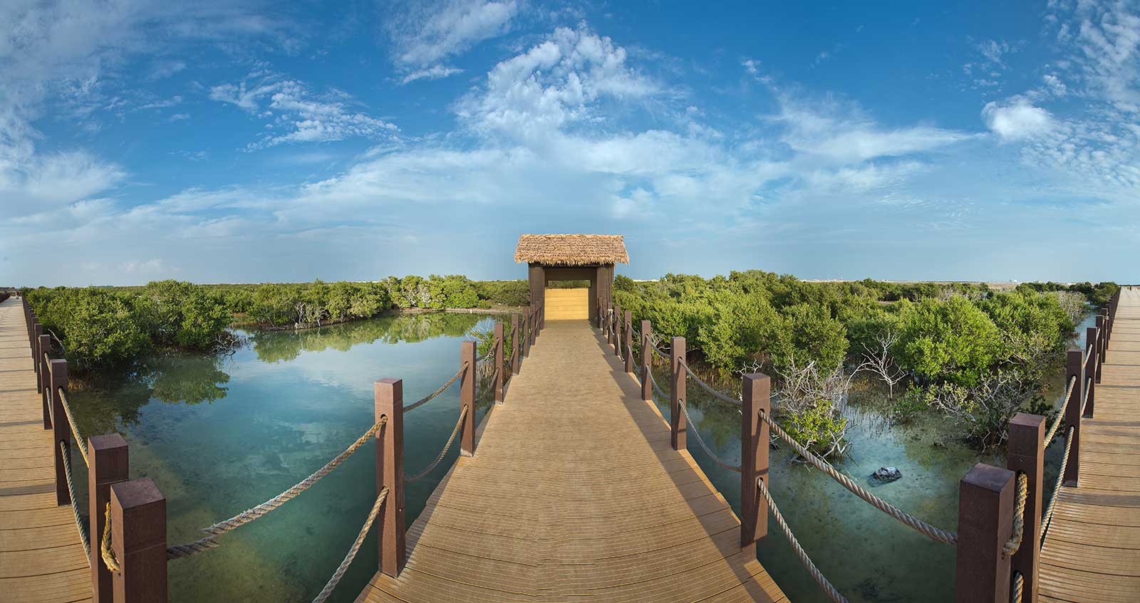 A Thakira Mangrove