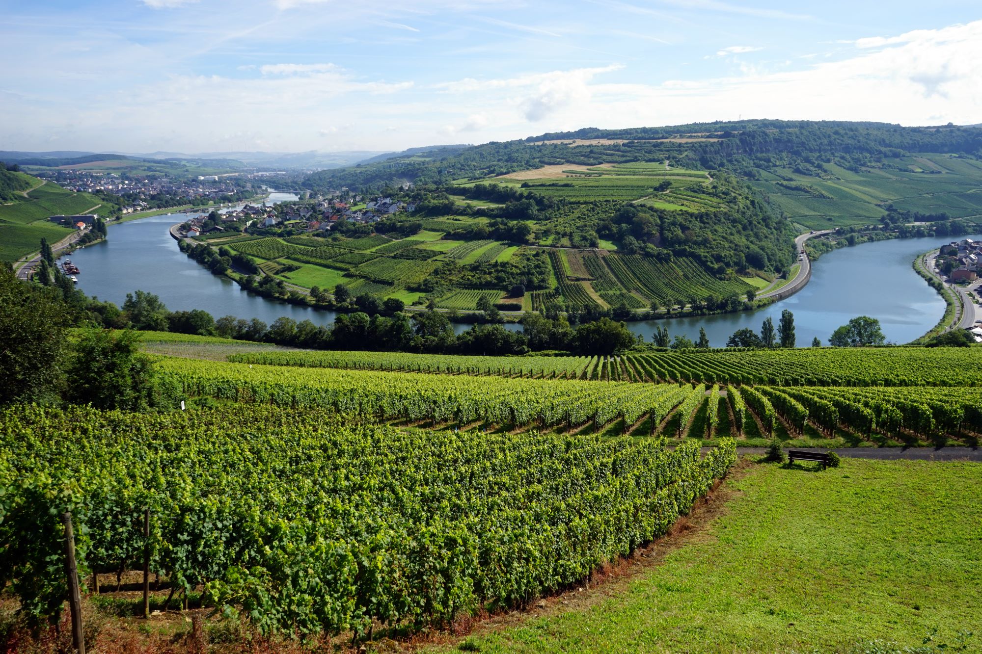 VDP Weingut Dr. Loosen – Mosel