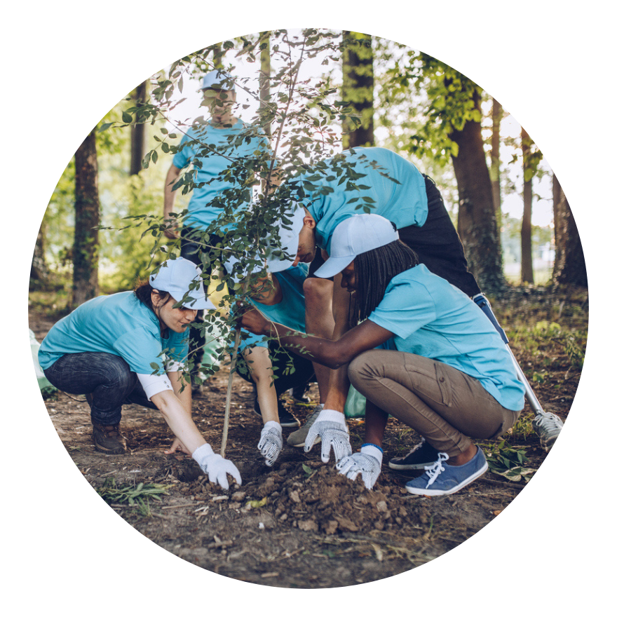 planting trees CSR- incentive travel