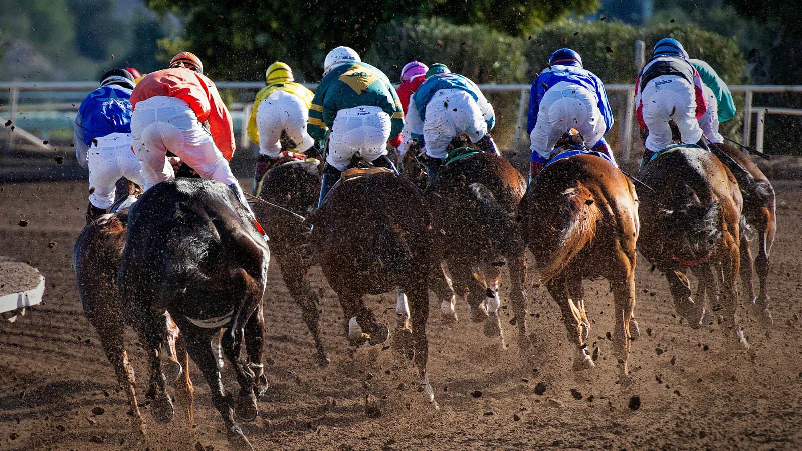 Horseracing event on mud track