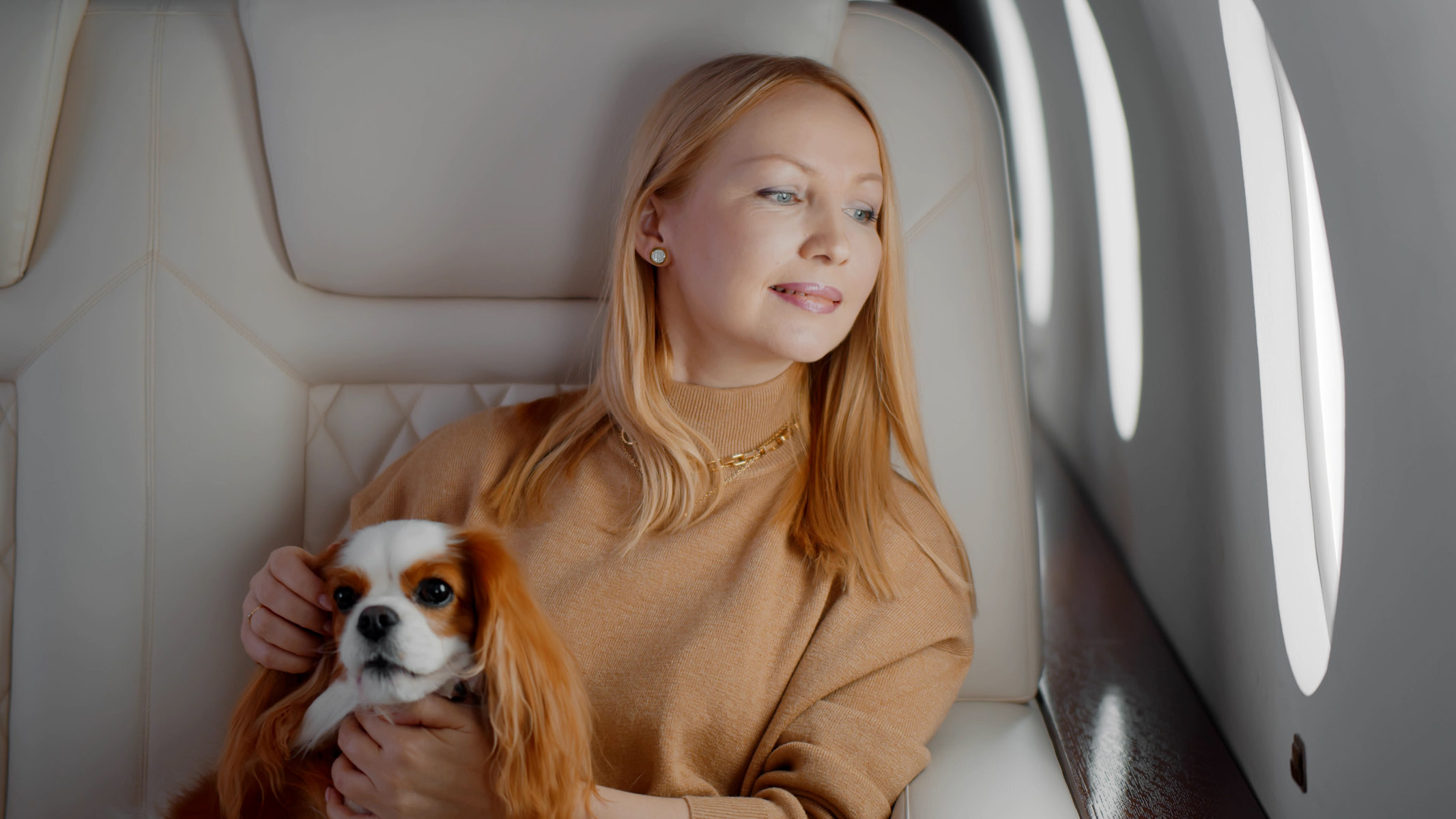 charter air travel with pets cost