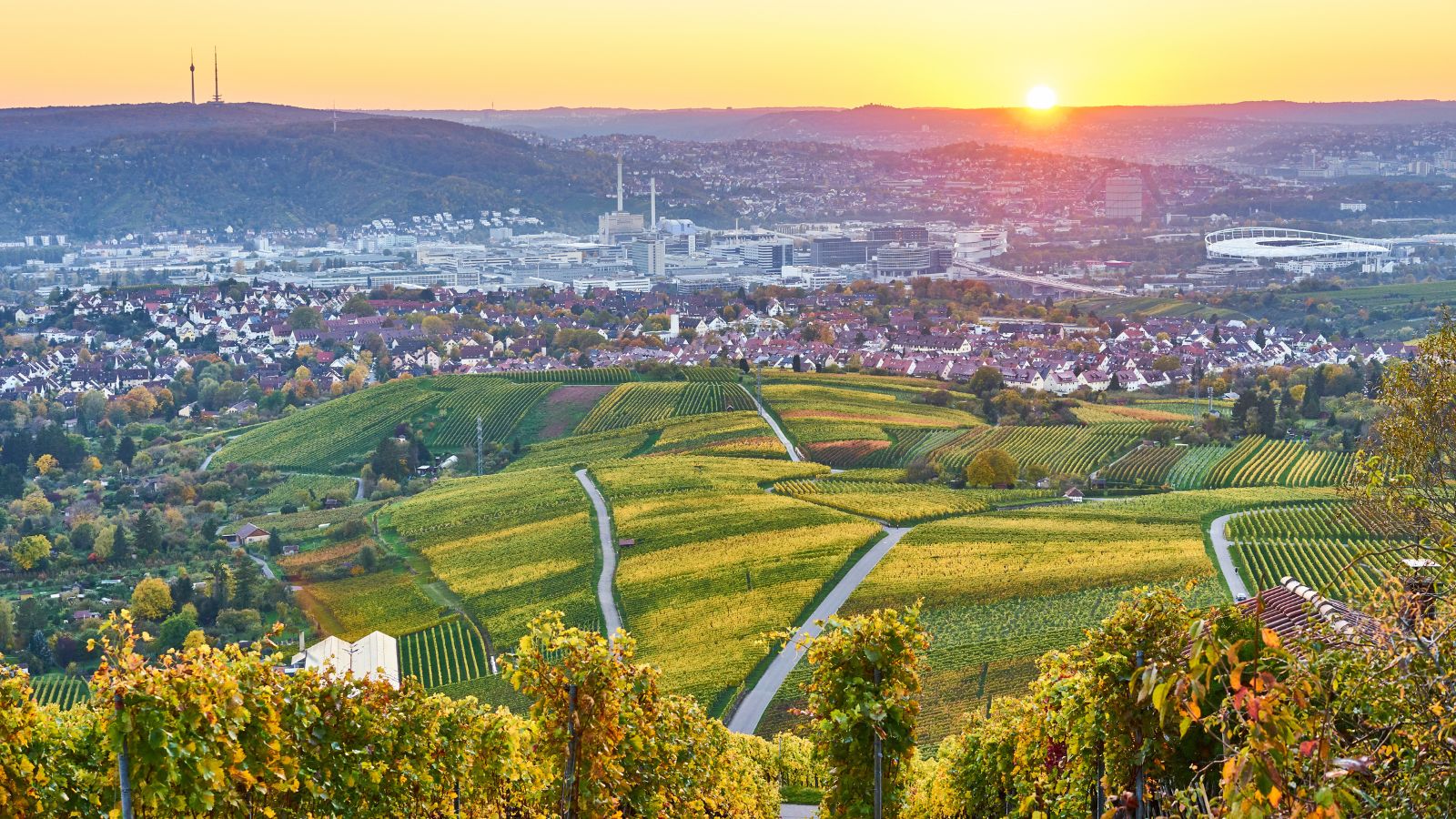 Neckar Velley in Stuttgart / colourful wine growing region in the south of Germany