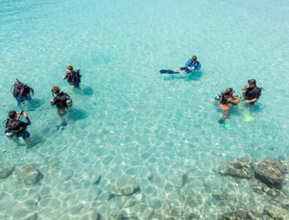 Group scuba diving at St. Thomas, U.S. Virgin Islands