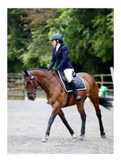 Side view of horse galloping, dressage event