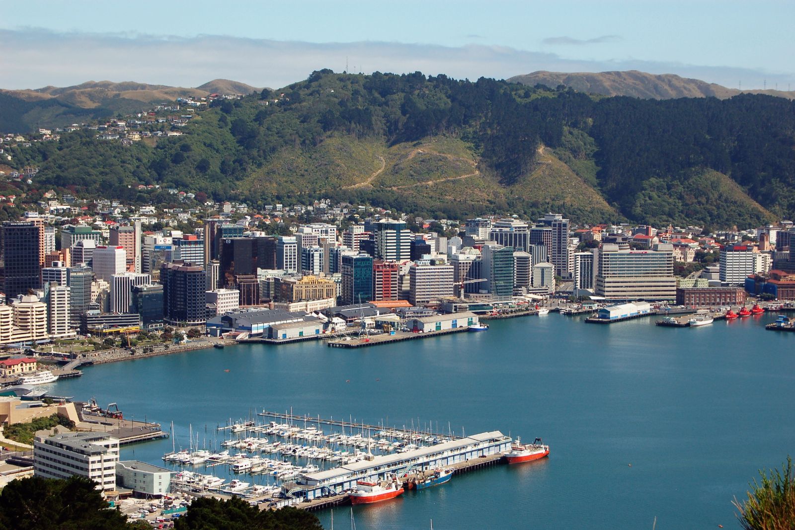 Wellington Harbour, North Island, New Zealand, taken from Mount Victoria overlooking Oriental Bay
