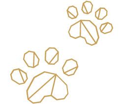 Pawprint icon