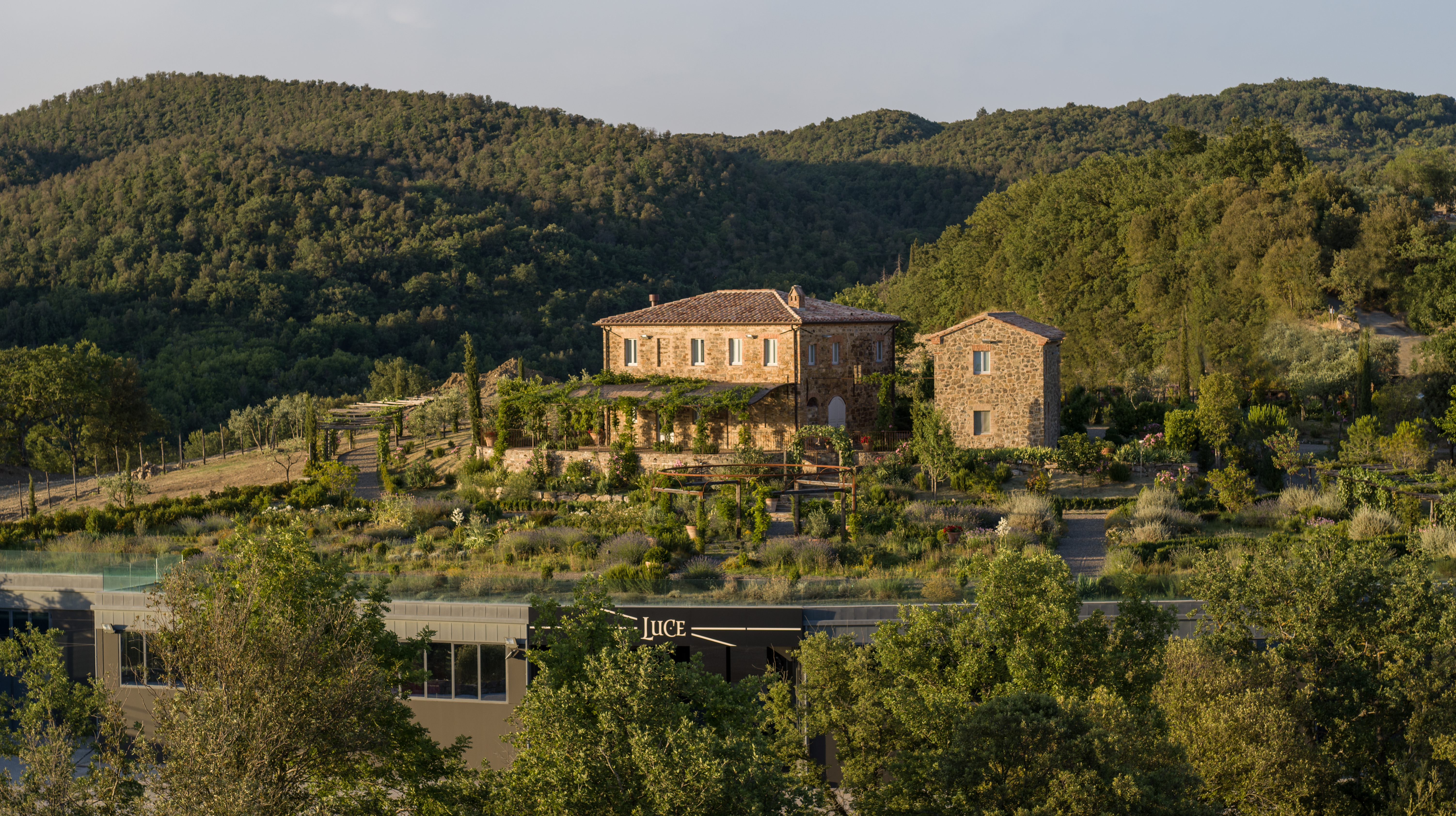 Luce – Montalcino, Toskana, Italien at Sunset