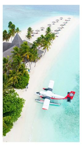 Maldives Plane Parked Beside Trees On Seashore