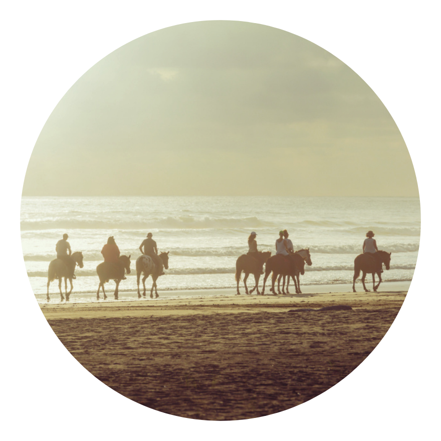 Horseback riding at the beach, animal therapy